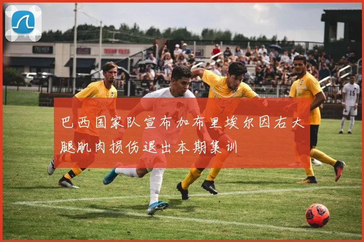 巴西国家队宣布加布里埃尔因右大腿肌肉损伤退出本期集训