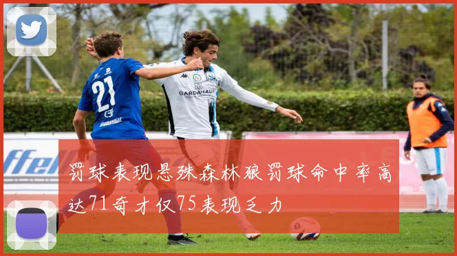 罚球表现悬殊森林狼罚球命中率高达71奇才仅75表现乏力