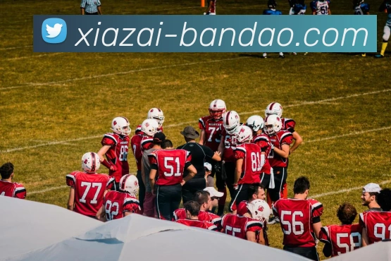 半岛体育平台生态图