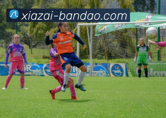 半岛体育全站App